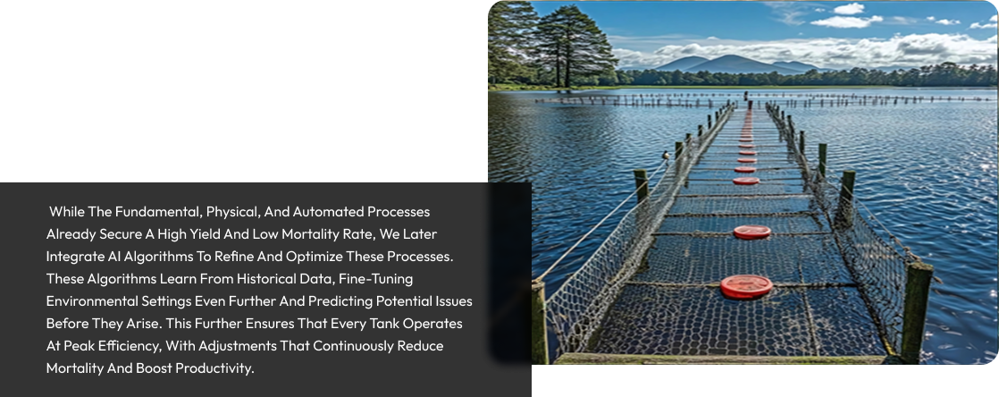 Optimized Tank Geometry