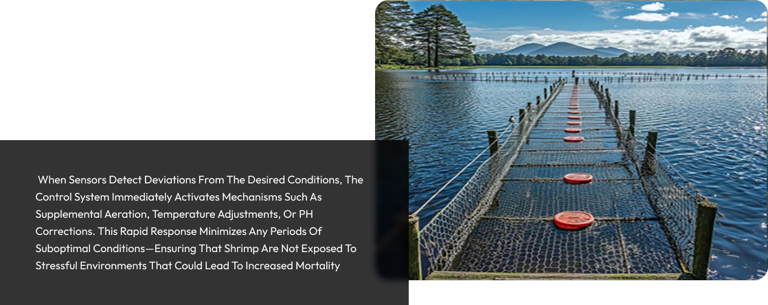 Optimized Tank Geometry